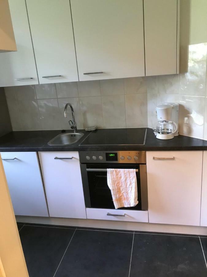 Wieko Ferienwohnungen Plauen Buitenkant foto